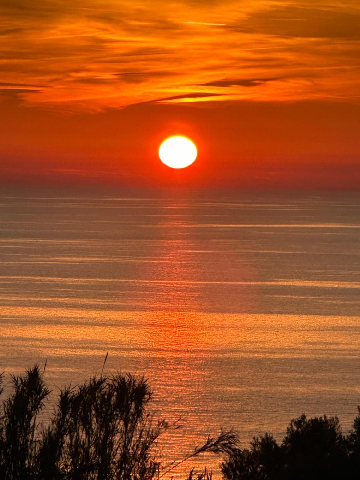 Casa Mimosa Appartement Ischia Buitenkant foto